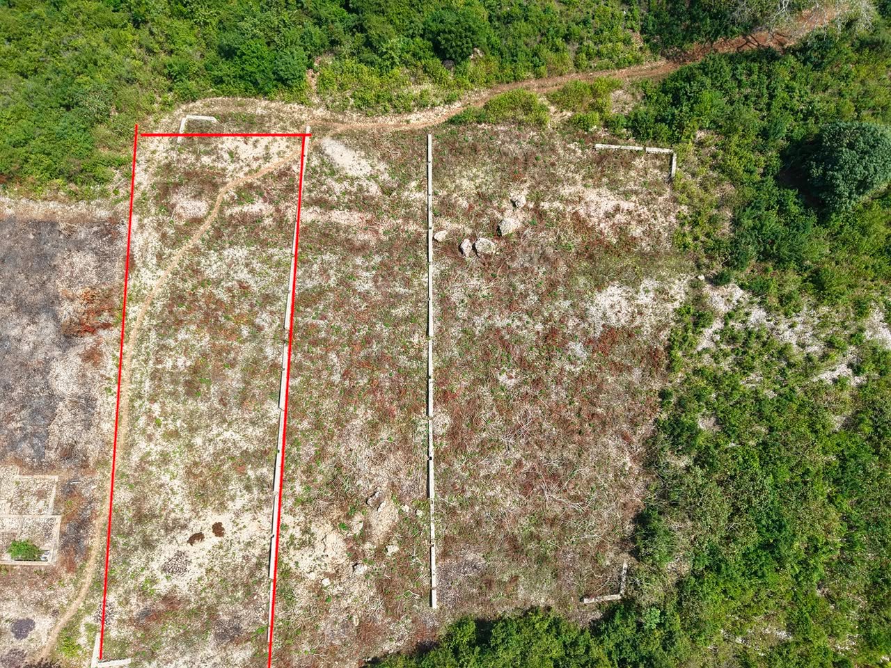 Cliff Beachfront Plot for Sale β Uzi, Zanzibar - 2