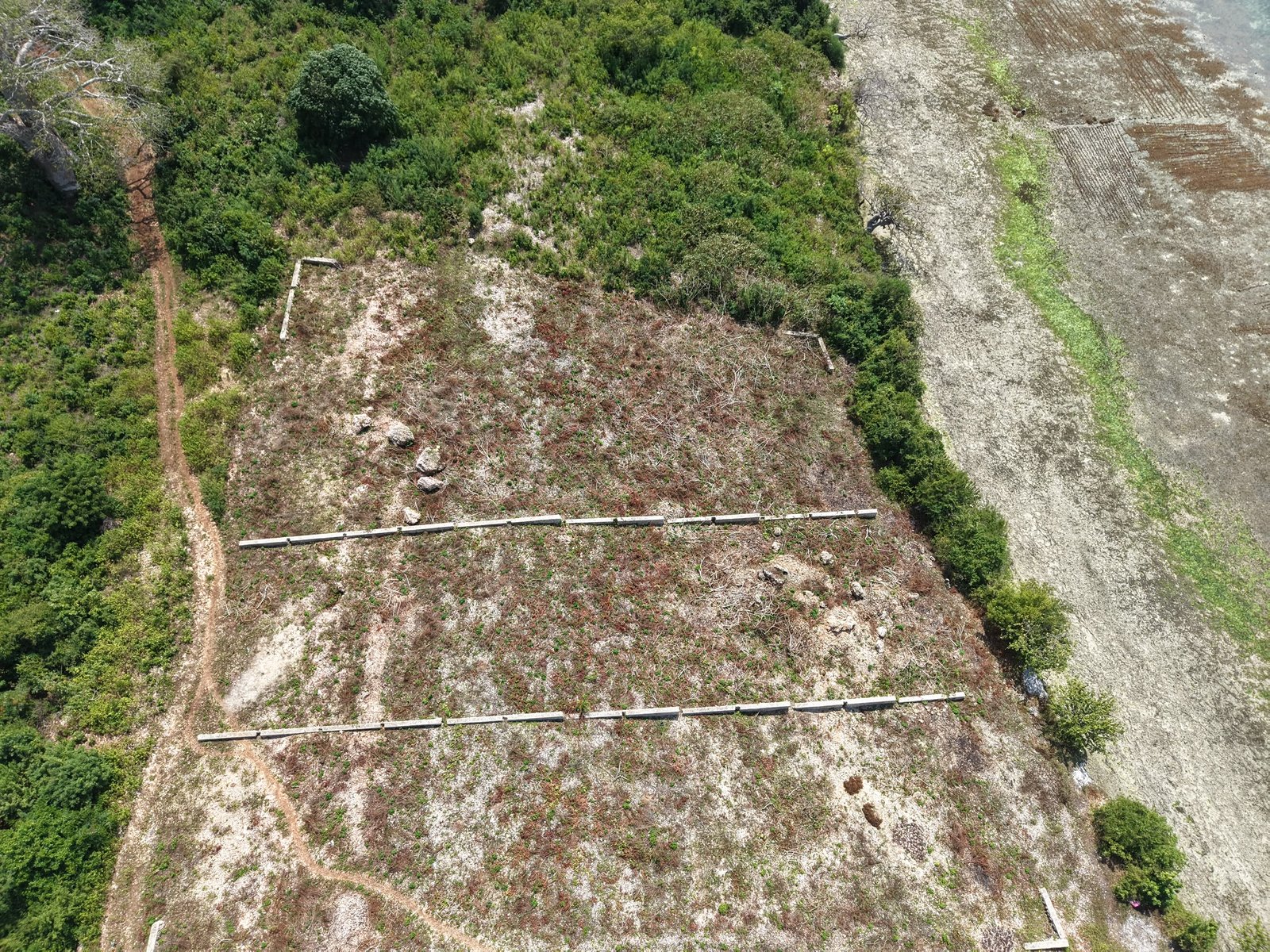 Cliff Beachfront Plot for Sale β Uzi, Zanzibar - 3
