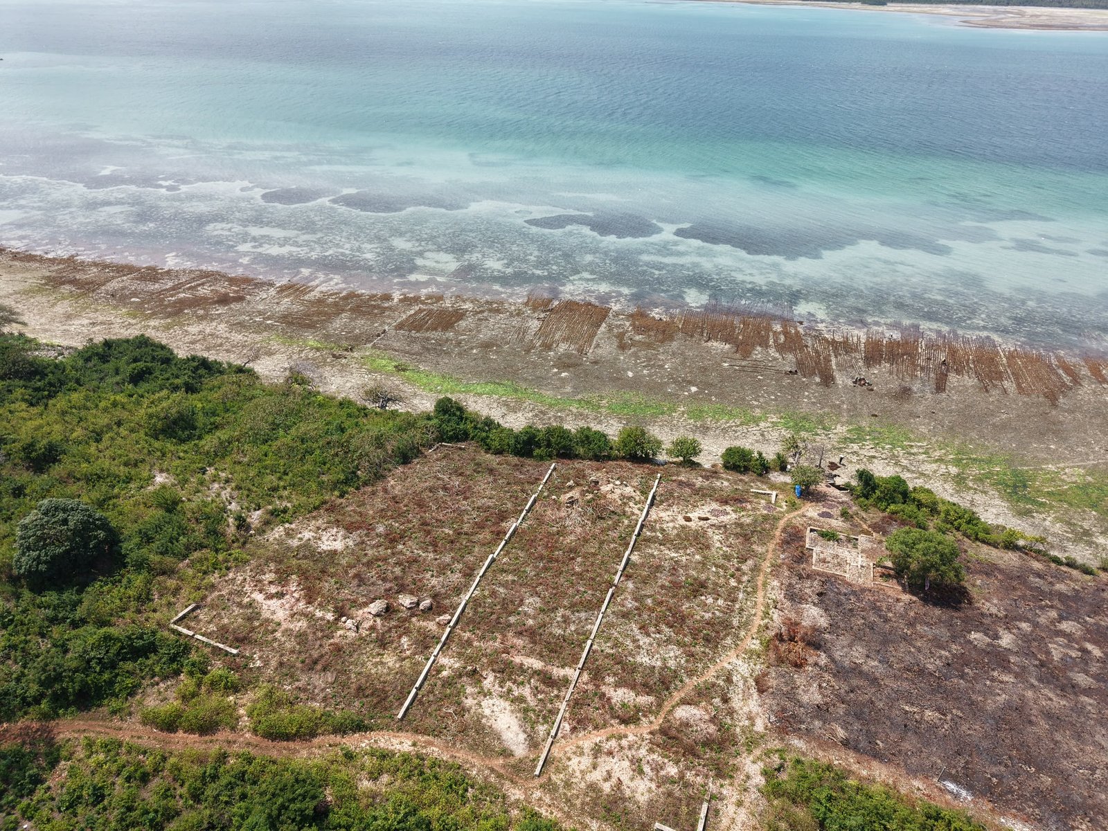 Cliff Beachfront Plot for Sale β Uzi, Zanzibar - 8