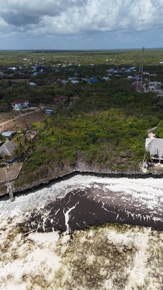 Beachfront Land for Sale in Jambiani, Zanzibar – 14,636 SQM - 2