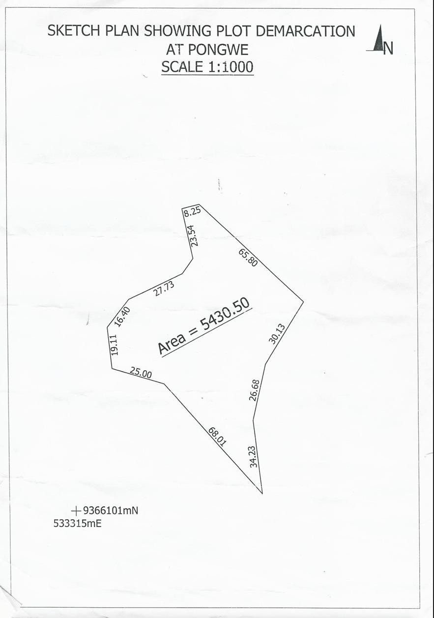 Oceanfront Plot for Sale in Pongwe, Zanzibar – 6,000 SQM - 2
