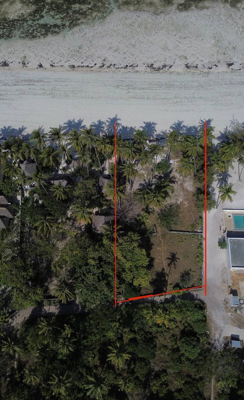Charming First Line Plot for Sale