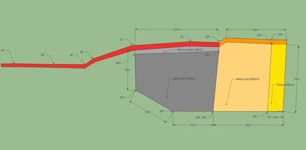 Expansive Palm-Filled Plot for Sale in Bwejuu - 2