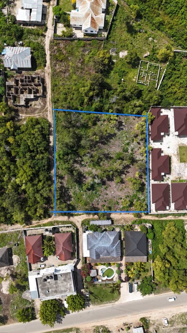 Prime Land for Sale in Pwani Mchangani – A Unique Investment Opportunity - 3