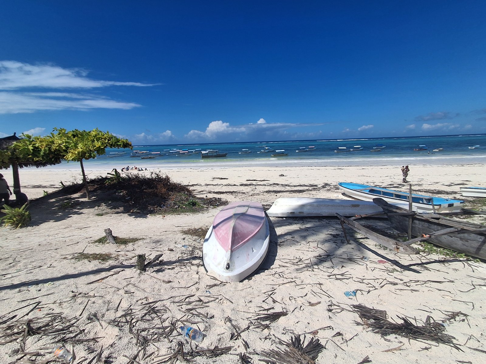 Beachfront Plot for Sale in Matemwe - 3