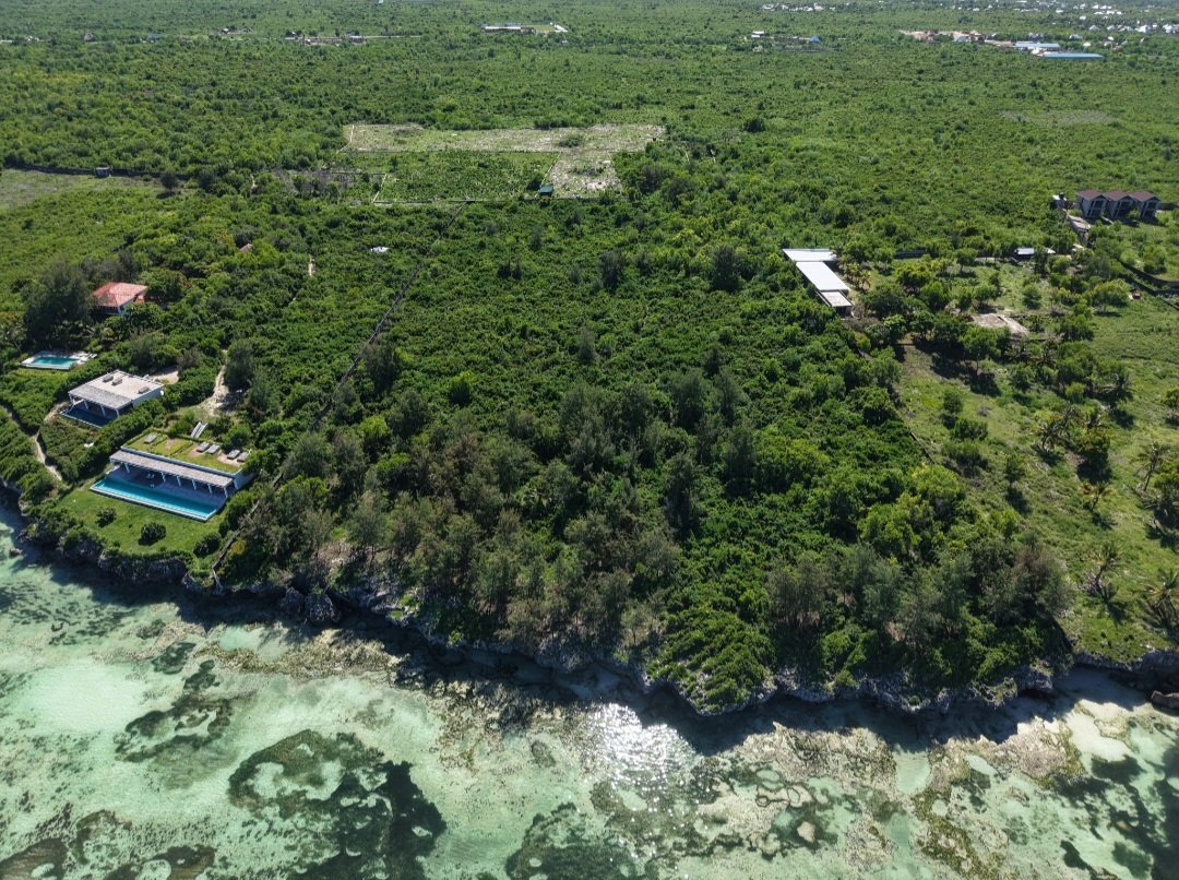 Prime Cliffside Oceanfront Land in Matemwe with Mnemba Views - 2
